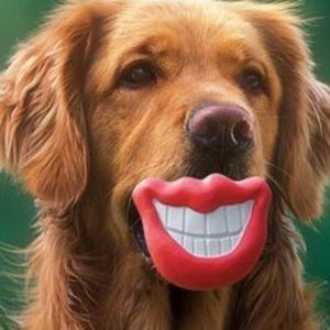 Meet your Posher, Jayne